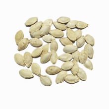 Wholesale Local Specialty Cheap White Pumpkin Seed Kernels Pumpkin Seeds With Best Quality